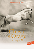 Cheval D'Orage - Vol03 - Galop De Feu