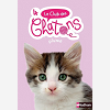 Le Club Des Chatons - Numero 4 Plume - Vol04