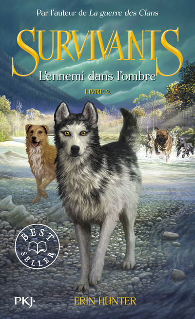 Survivants - Tome 2 L'Ennemi Dans L'Ombre - Vol02