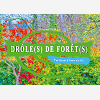 Drole(S) De Foret(S)