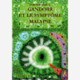 Gandorr Et Le Symptome Malypse - Tome 5 De La Saga Gandorr