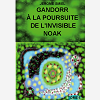 Gandorr A La Poursuite De L'Invisible Noak - Tome 6 De La Saga Gandorr