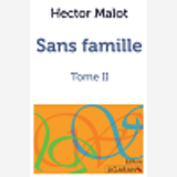 Sans Famille - Tome Ii