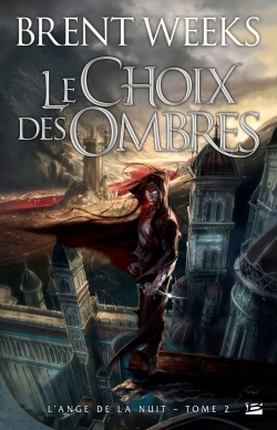 L'Ange De La Nuit T02 Le Choix Des Ombres