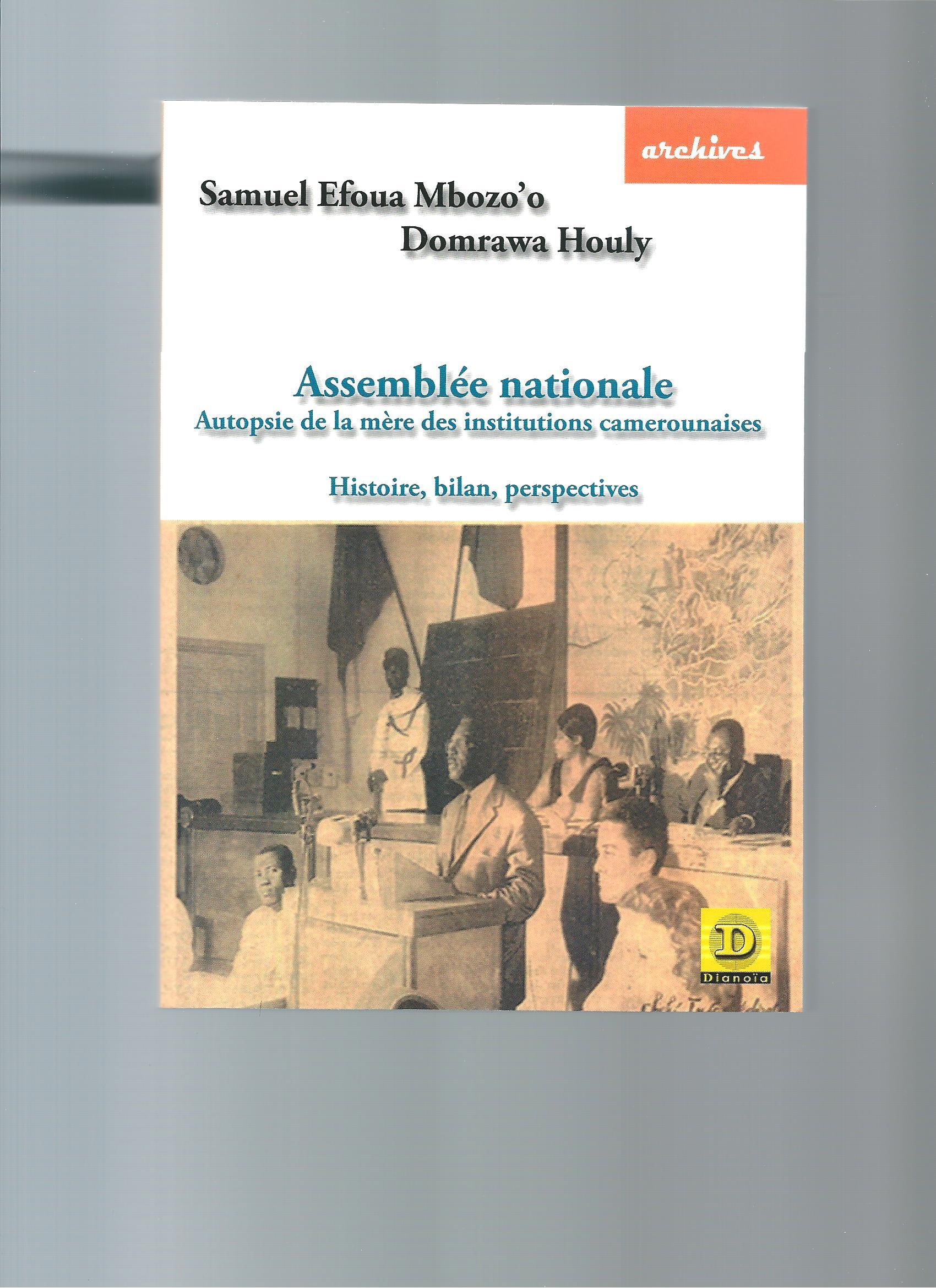 Assemblee Nationale - Autopsie De La Mere Des Institutions Camerounaises - Histoire, Bilan, Perspect