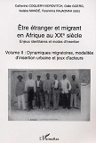 Etre Etranger Et Migrant En Afrique Au Xxe Siecle - Enjeux Identitaires Et Modes D'Insertion - Volum