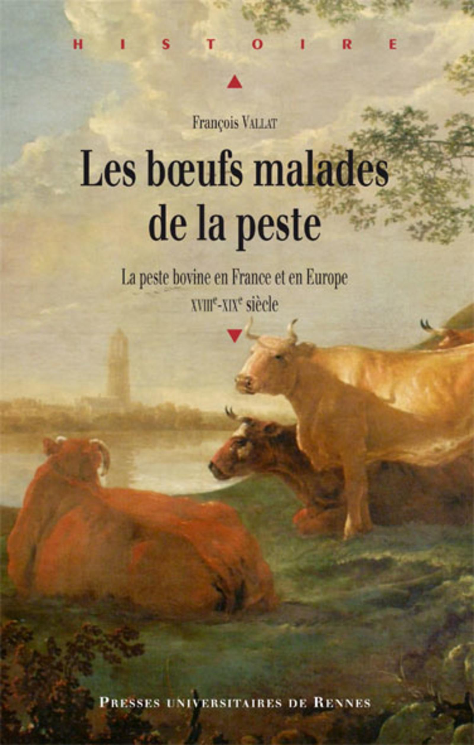 Boeufs Malades De La Peste