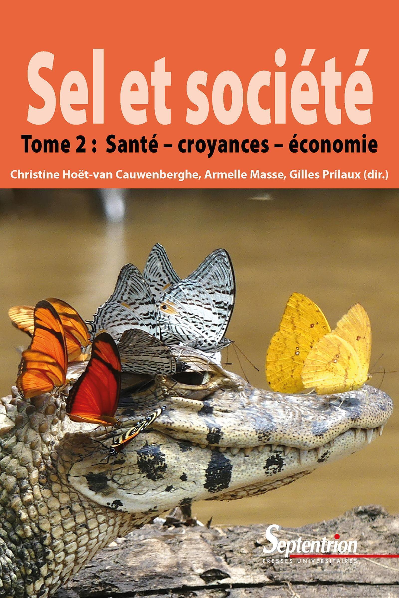 Sel Et Societe - Tome 2 - Sante, Croyances Et Economie