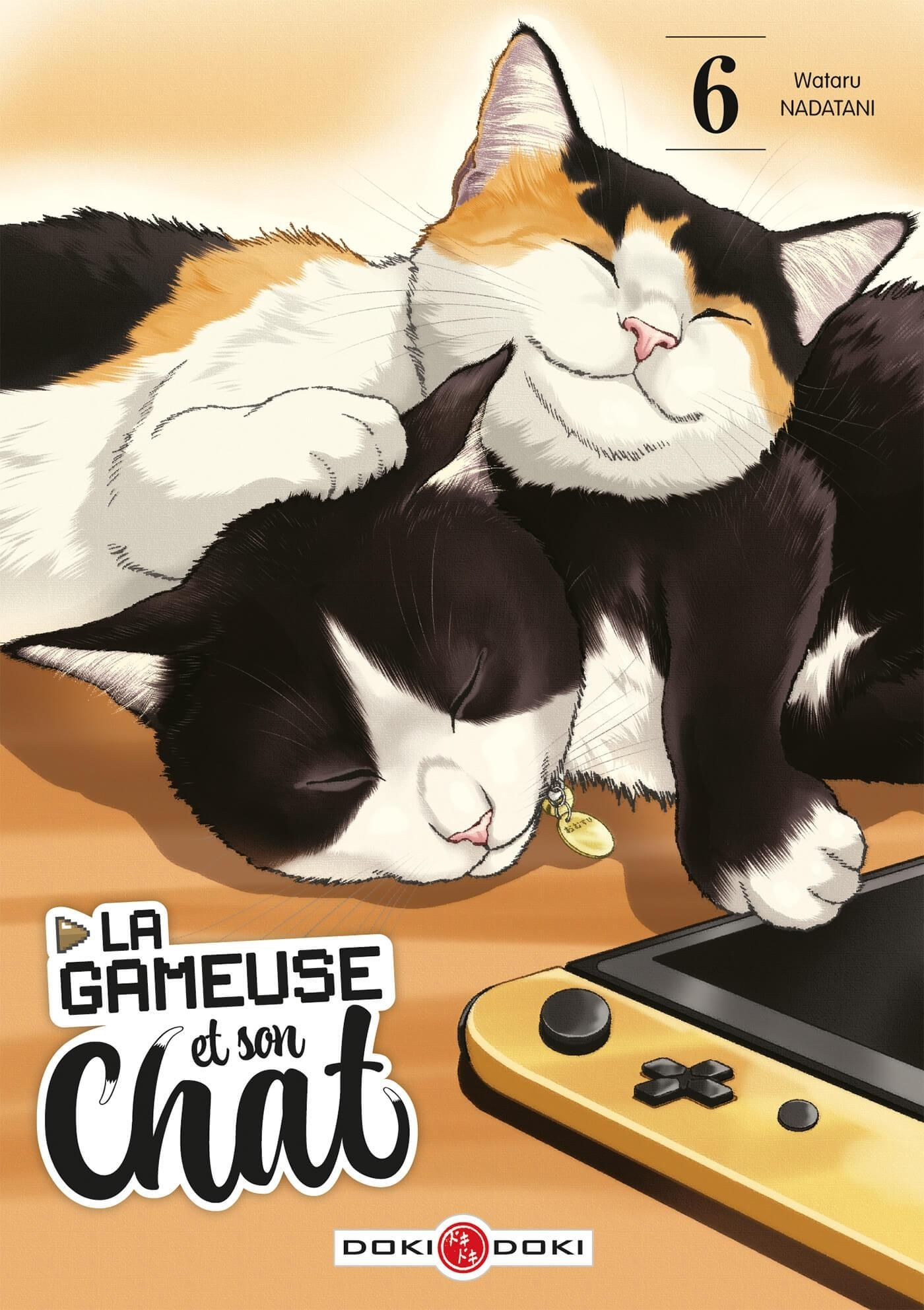 Gameuse Et Son Chat (La) - T06 - La Gameuse Et Son Chat - Vol. 06