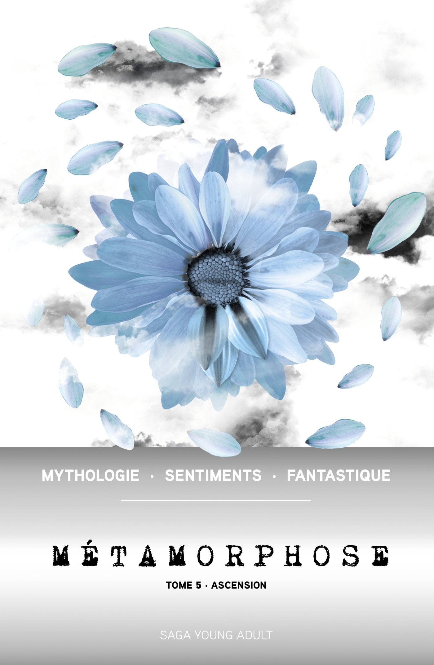 Metamorphose T05 - Ascension