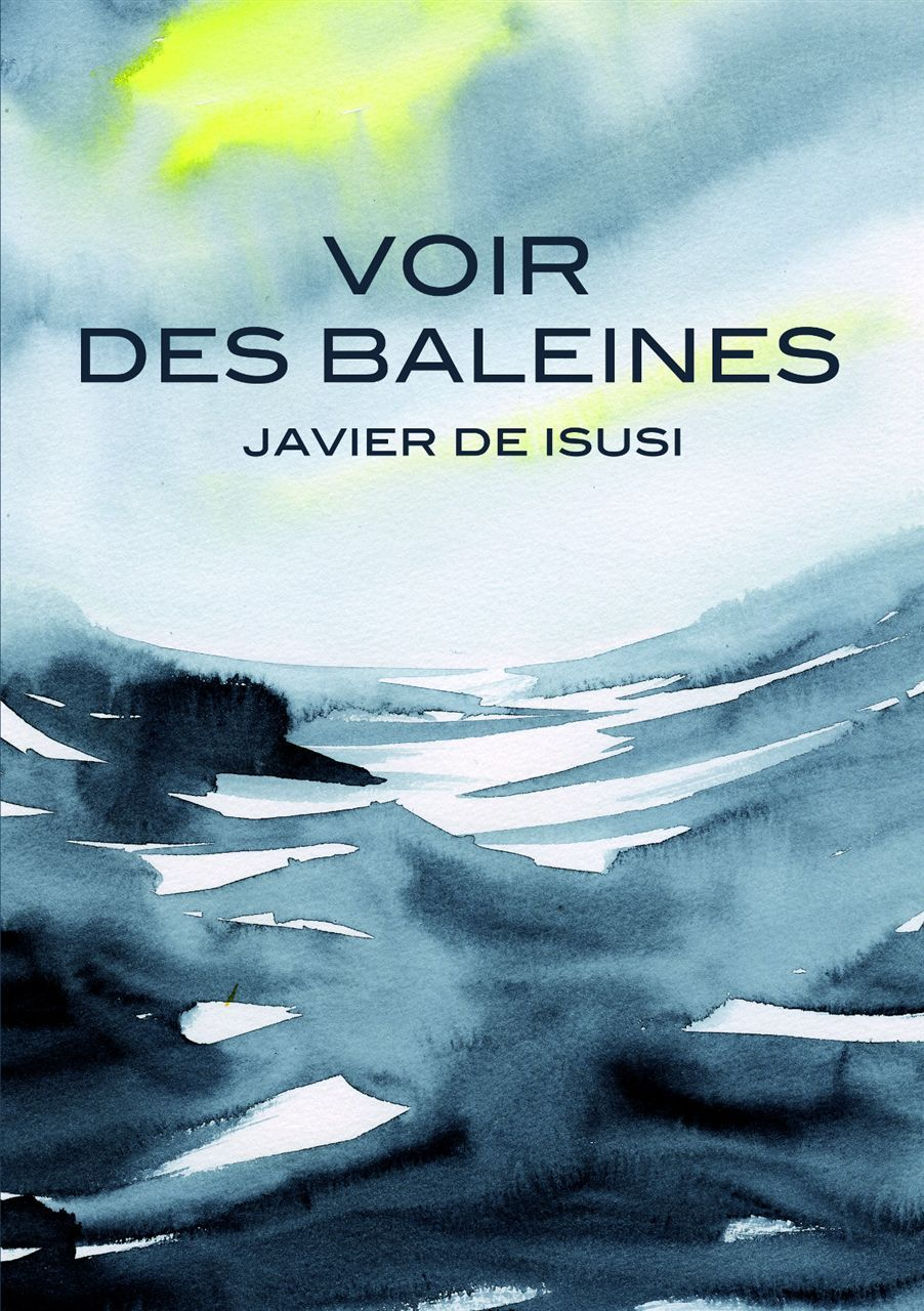 Voir Des Baleines