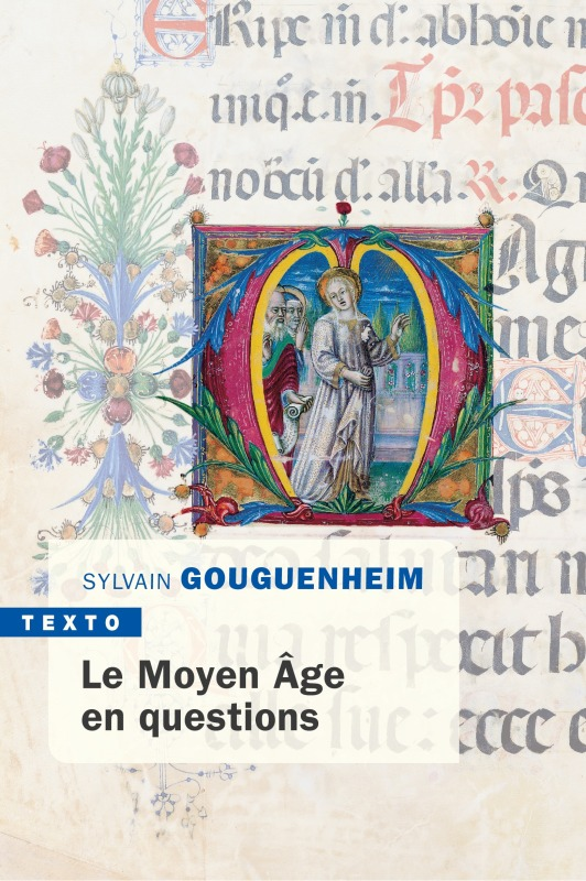 Le Moyen Age En Questions