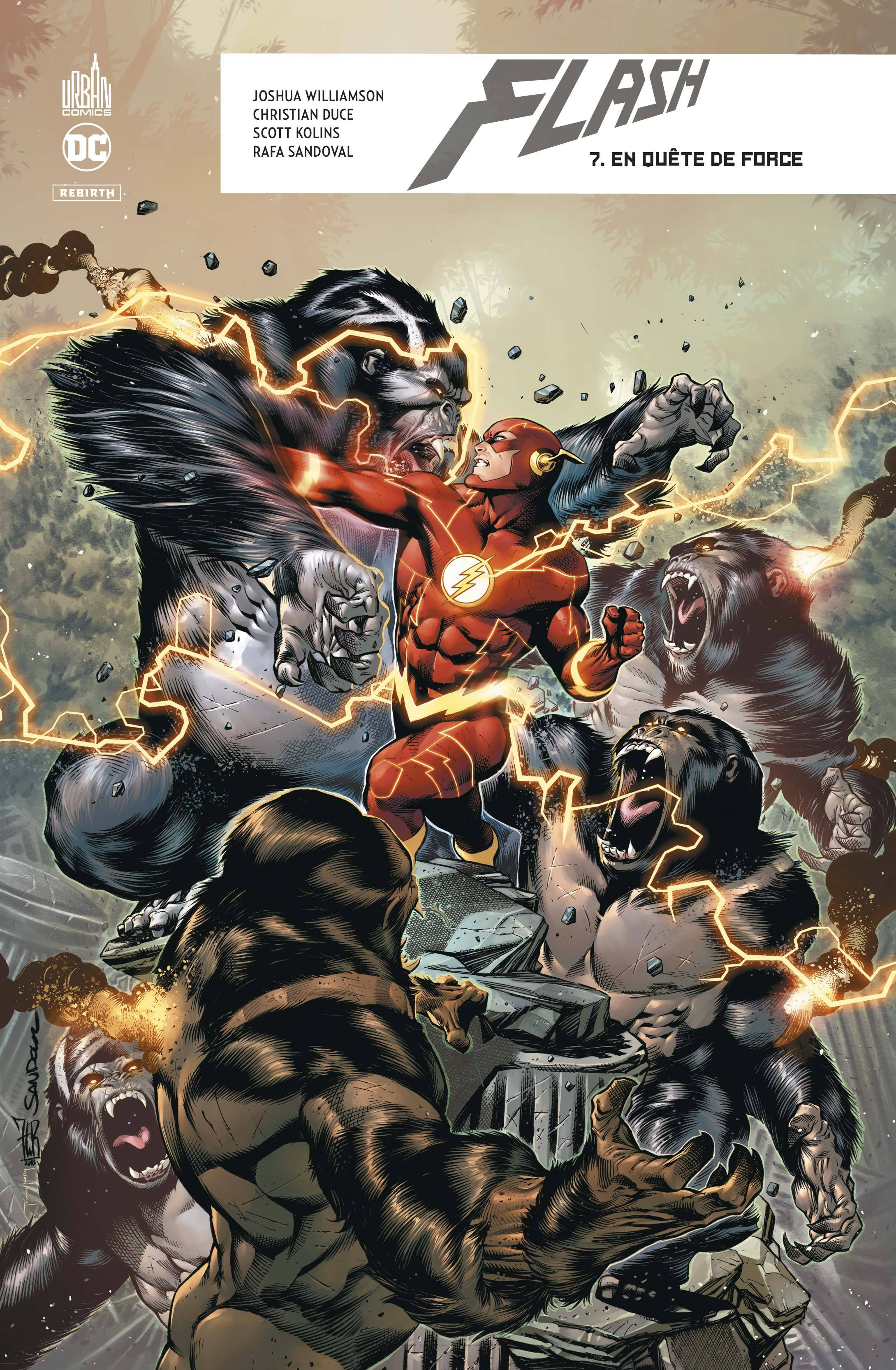 Flash Rebirth  - Tome 7