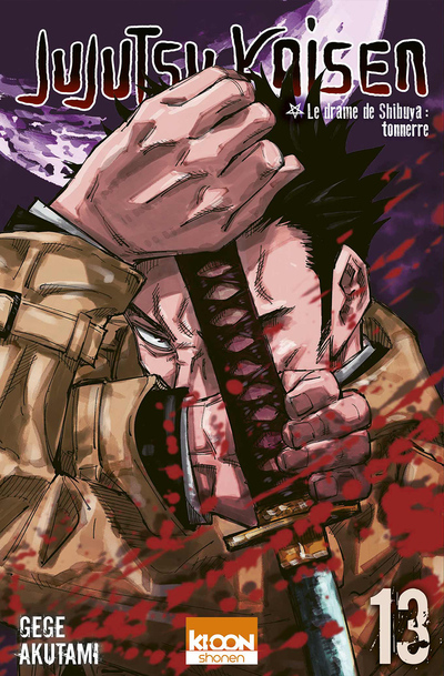 Jujutsu Kaisen T13                                                                                  