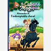 La Cabane Magique, Tome 44 - Alexandre Et L'Indomptable Cheval