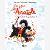 Les Idees Folles D'Anatole, Tome 02 - C'Est Du Propre !