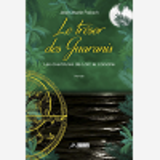 Le Tresor Des Guaranis - Les Aventures De Loic Le Corsaire Tome 3